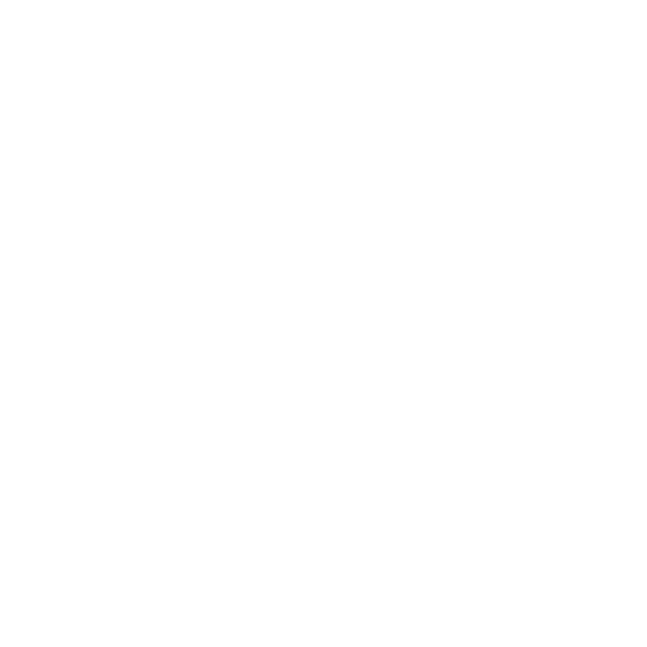 Bloom Flower